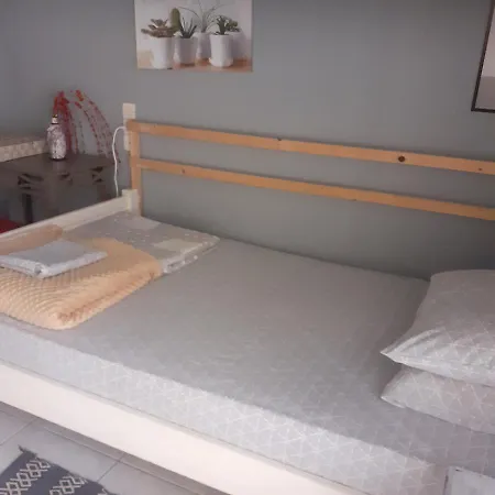 Pet Friendly Alexandras House Apartment